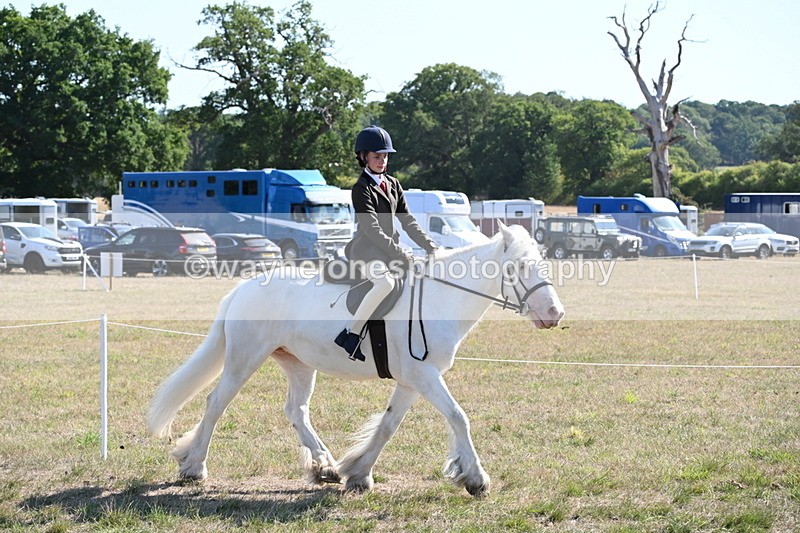 WJ6_7477 - Class 34 Judges Choice