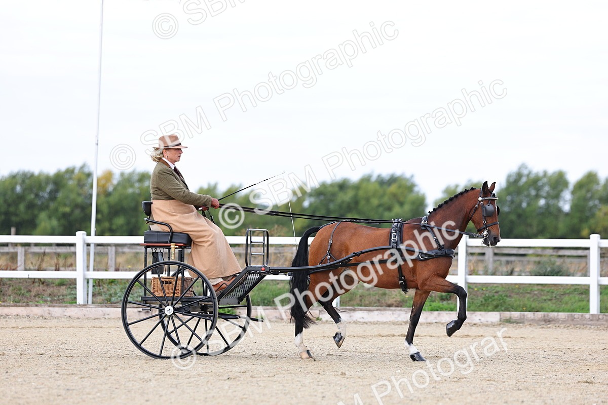 SBM_000245 - Class 2 - Exercise Vehicle 13.2hh & Under