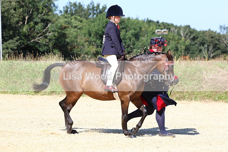 3E7A8049 - Class 15: Lead Rein