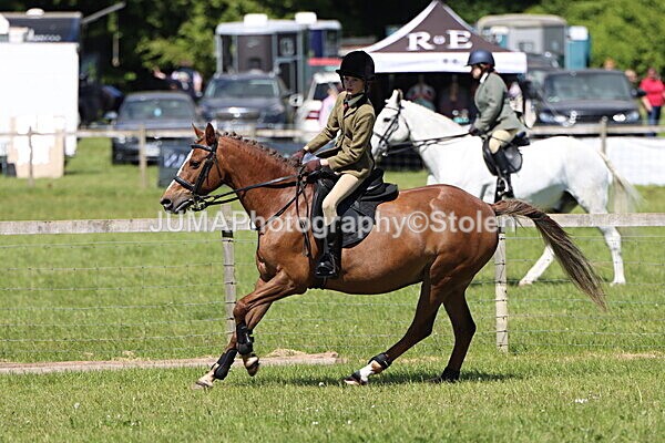 IMG_3631 - Working Hunter