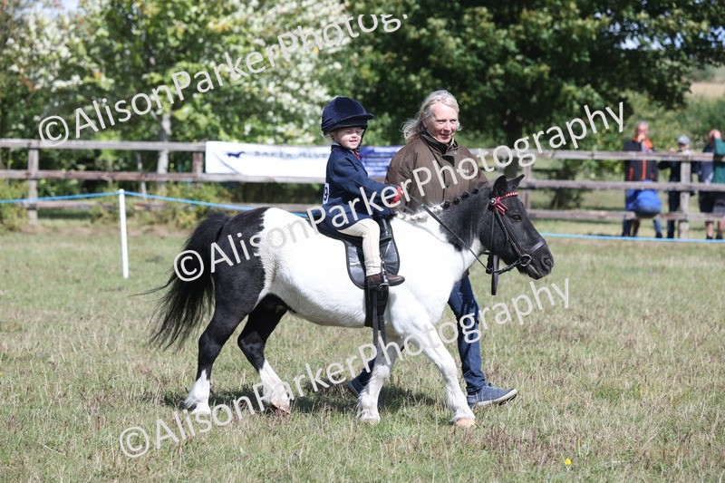 20250831-2641 - Class 17 - Lead Rein Pony