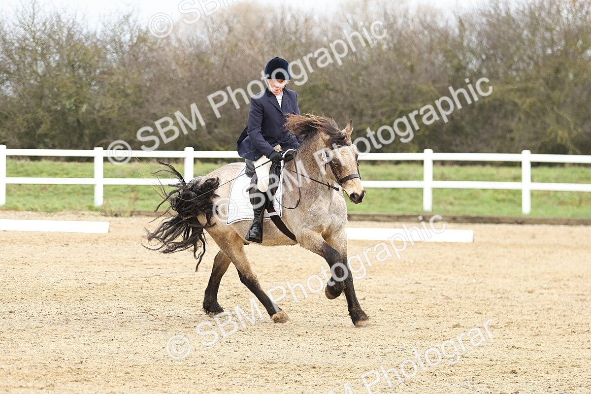 SBM_002008 - Prelim 1