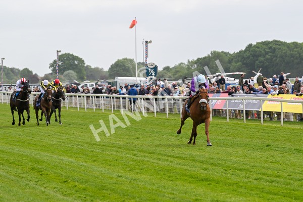 150525-See The Fire-4436 - Race 3 3.13pm Al Basti Equiworld Dubai Middleton Fillies' Stakes