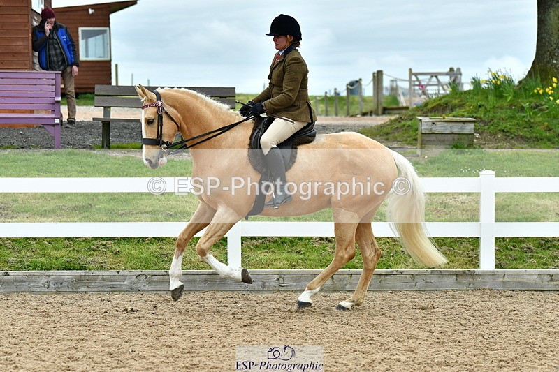 230416A-143100-05250 - Cls 74 Warmblood