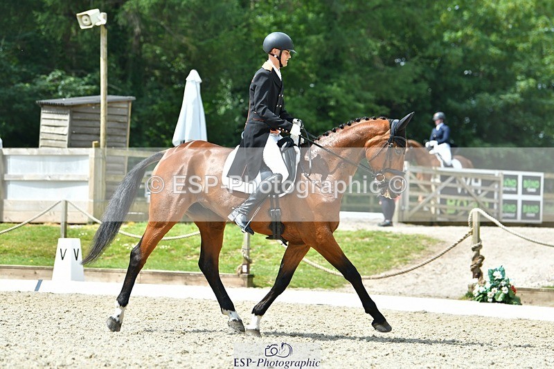 230525-113040-04039 - 201-JAEGER_MASTER-Tom_Woodward-WEDTrotUp+DR