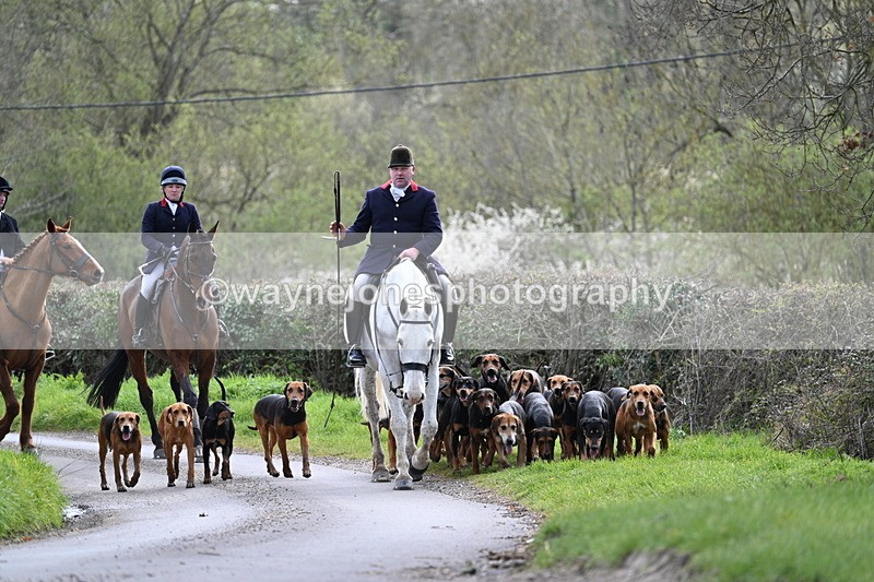 WJ7_9755 - Walk Home