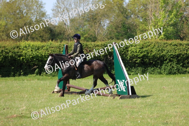 20250427-2489 - Class 19 - Mini Working Hunter