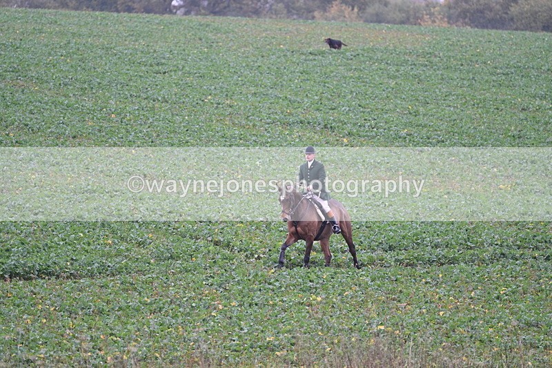 WJ7_8886 - Camera 1 only on this line