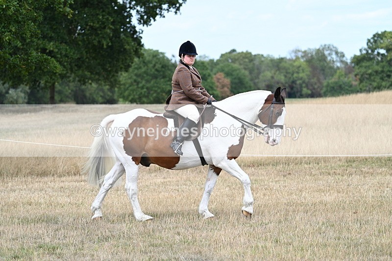 WJ7_4653 - Class 12 Ridden Cob