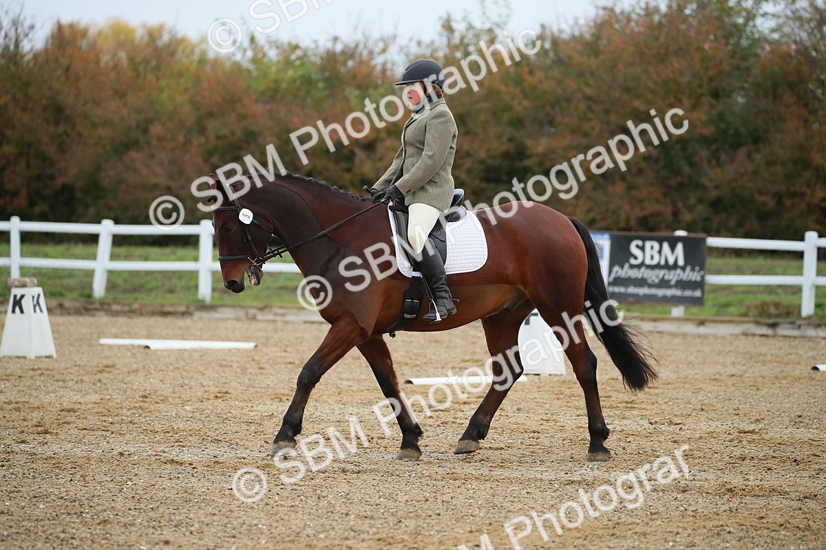 SBM_000394 - Intro 2