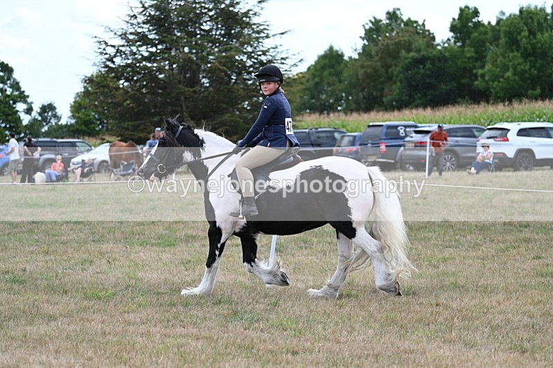 WJ7_5011 - Class 12 Ridden Cob