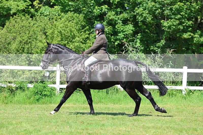 3E7A7018 - Class 30: Novice Working Hunter