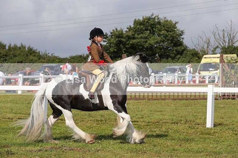 1X9A3489 - Skewbald and Piebald Ridden Championship