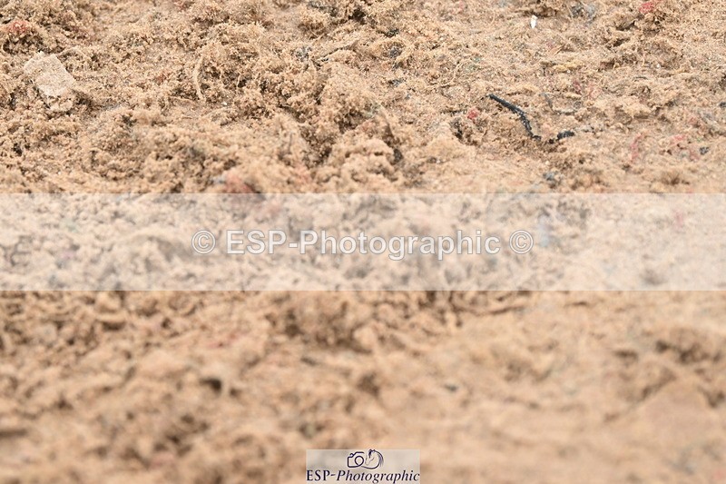 240720A-113020-14490 - Cls 11, 1 Star Bronze Tour 1.15m