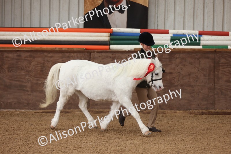 20251109-0564 - Class 21 - Mares 4 Years and over