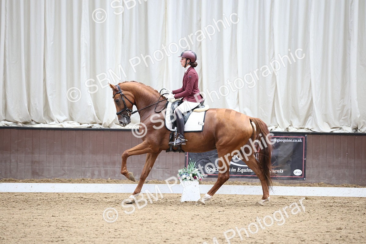 SBM_003453 - Class 5 - Novice 6 Gold - 13.05-14.00