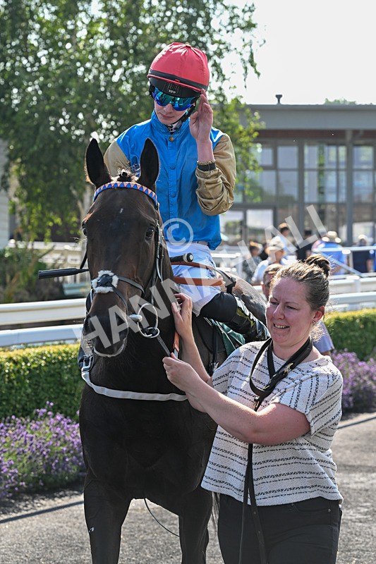 150726-Race 5-Naval Light-3626 - Race 5 16.10pm Try Racing TV For Free Now Handicap