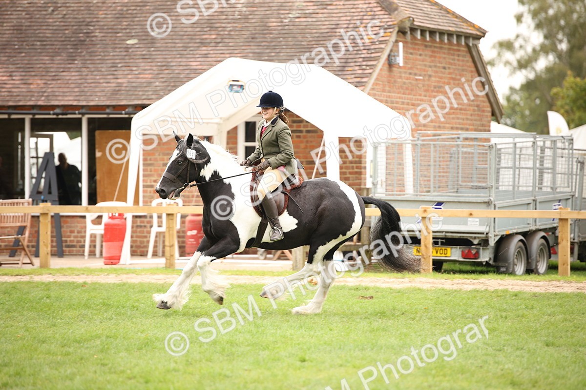 SBM_73497 - S68 - Traditional Cob Ridden