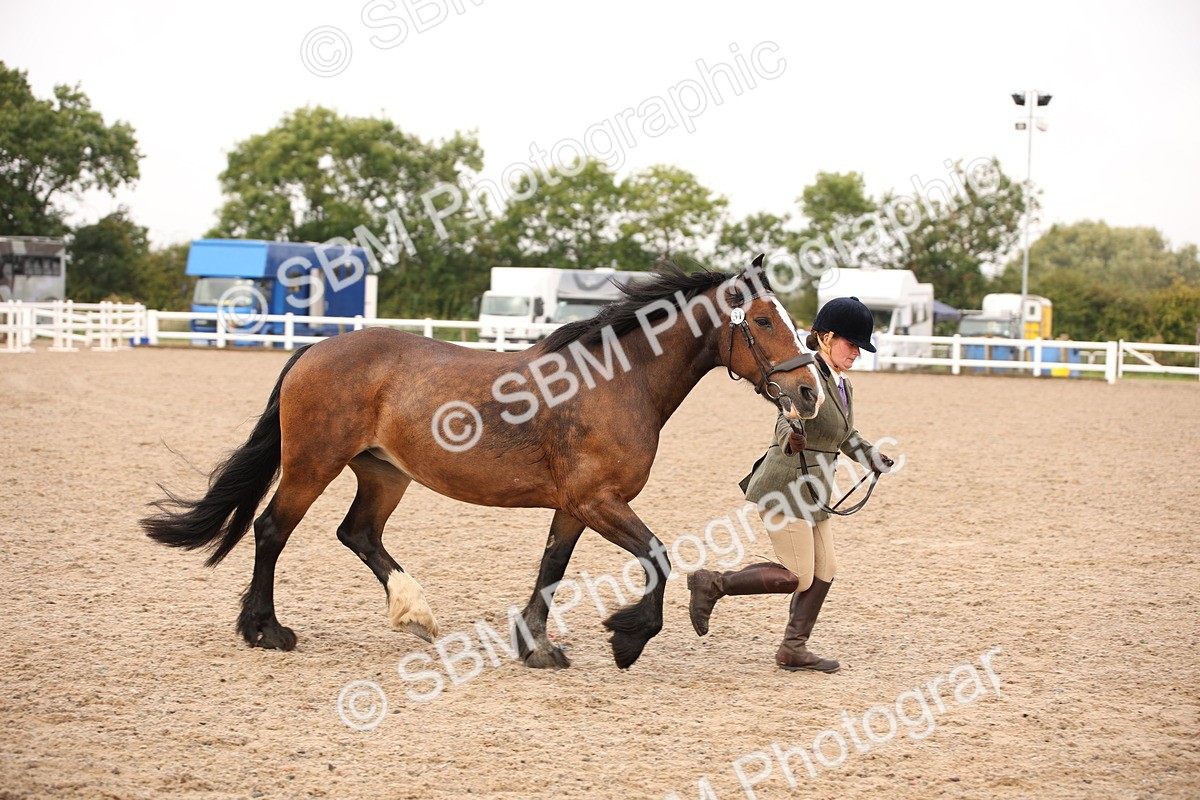 SBM_21493 - Class 706 - IH  Veteran