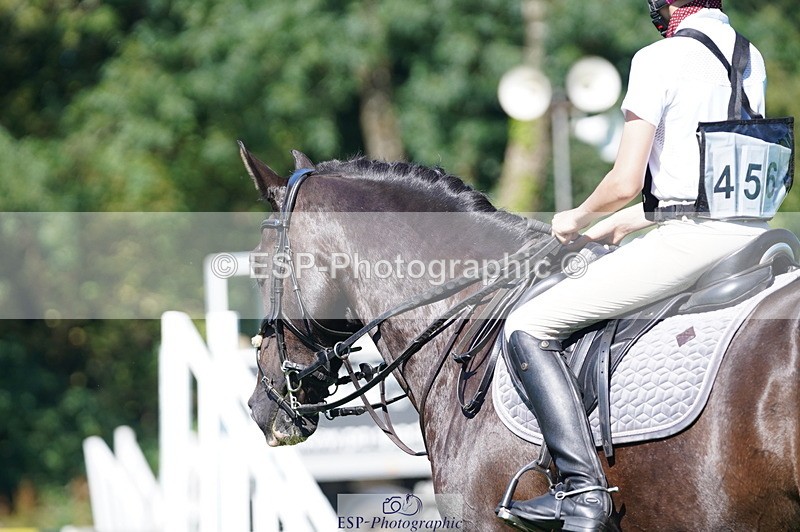 240811A-155954-06145 - 456-