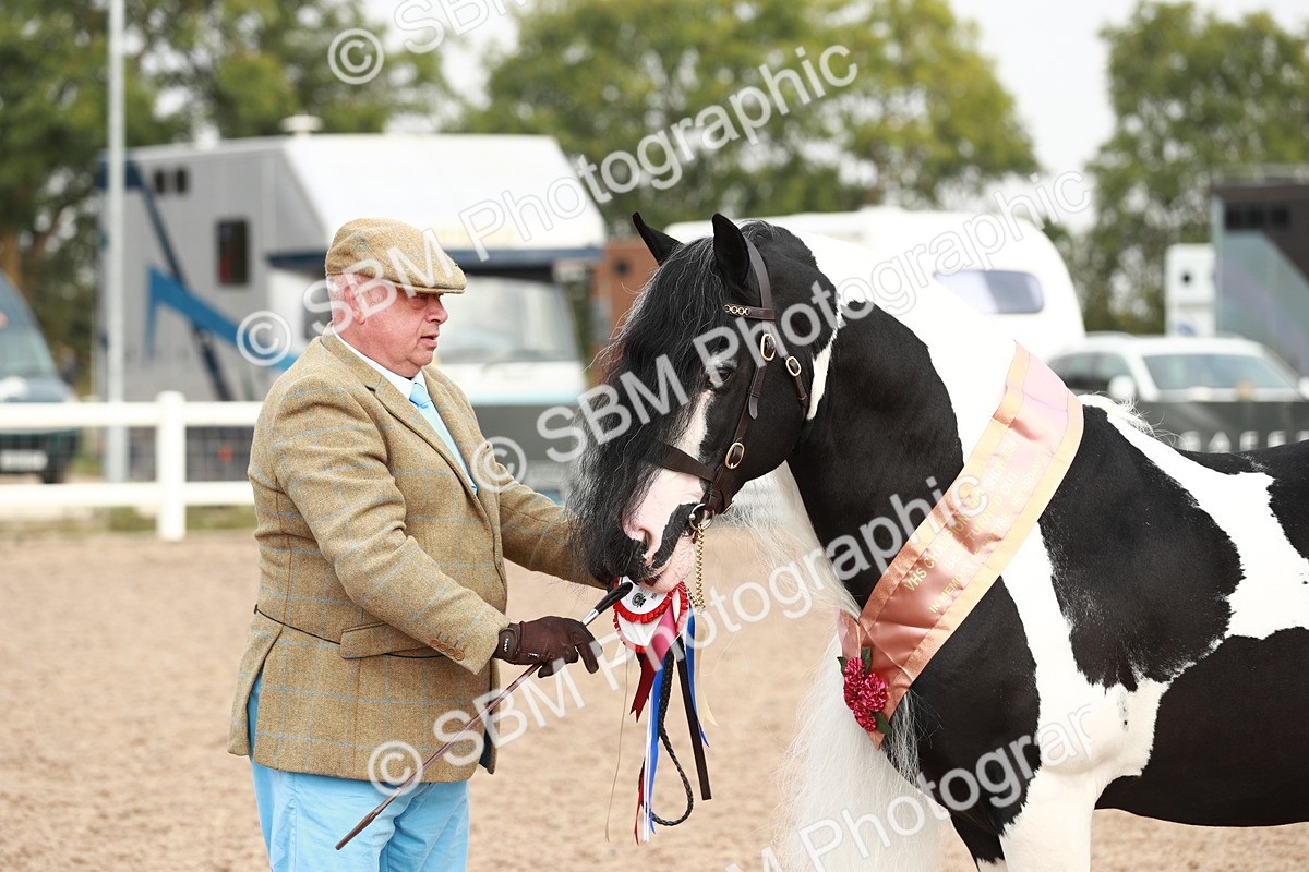 SBM_09588 - Class 201 Best Turned Out IH