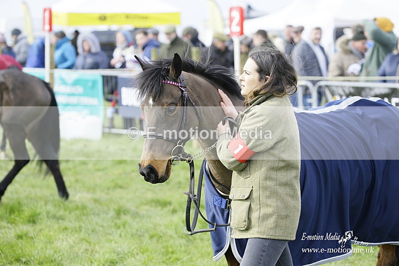 PtP 060322 46 - Blackmore & Sparkford Vale Hunt PtP 06/03/22
