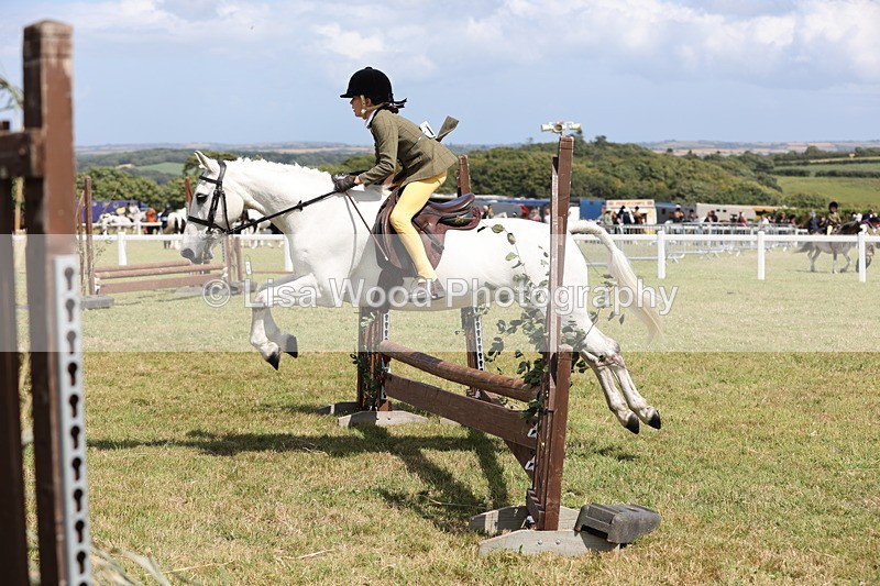 JPP_2121 - Class 19: Working Hunter 60cm