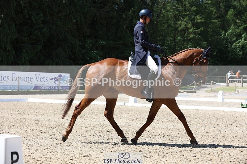 230526-114555-06108 - 156-JUST_PERFECT-Gaspard_Maksud-WEDTrotUp+DR