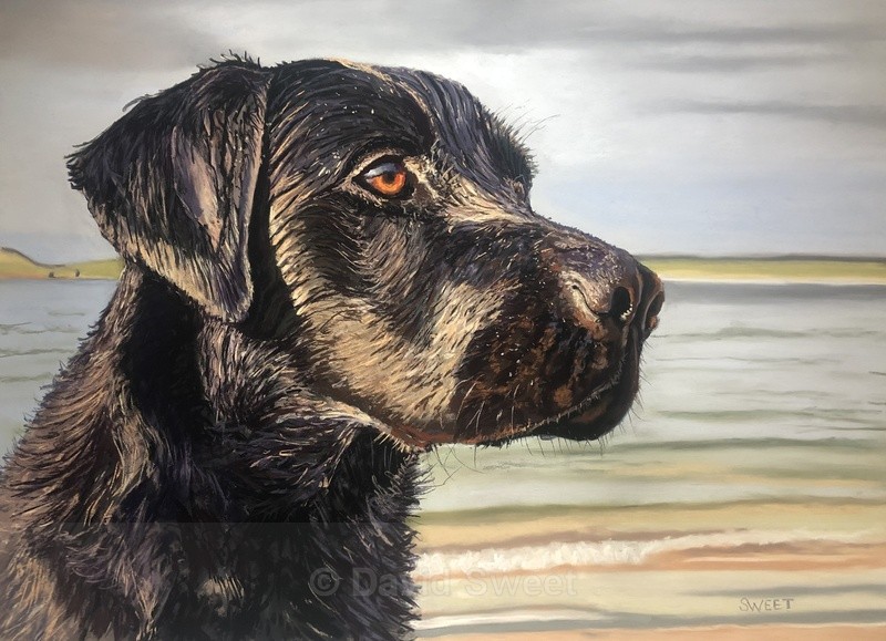 Pa - Paintings