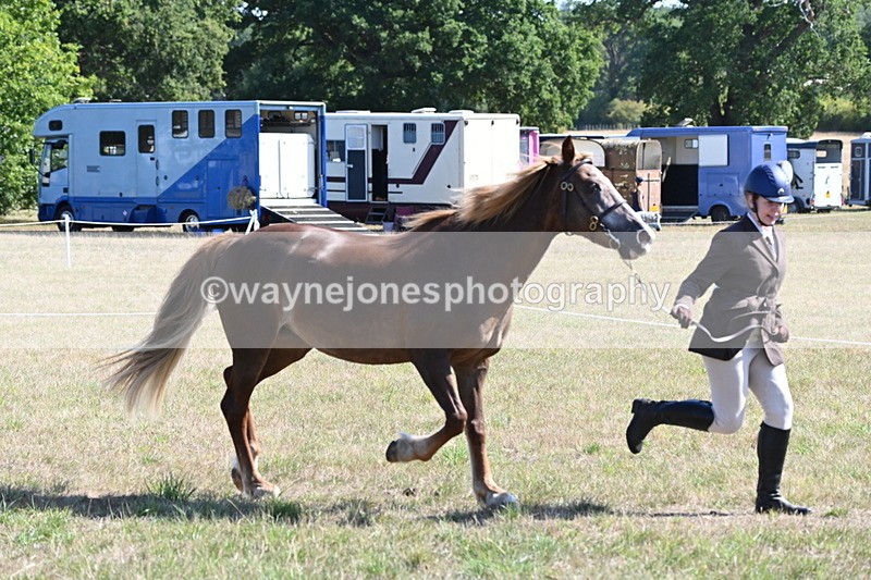 WJ6_4499 - Class 17 Mountain & Moorland