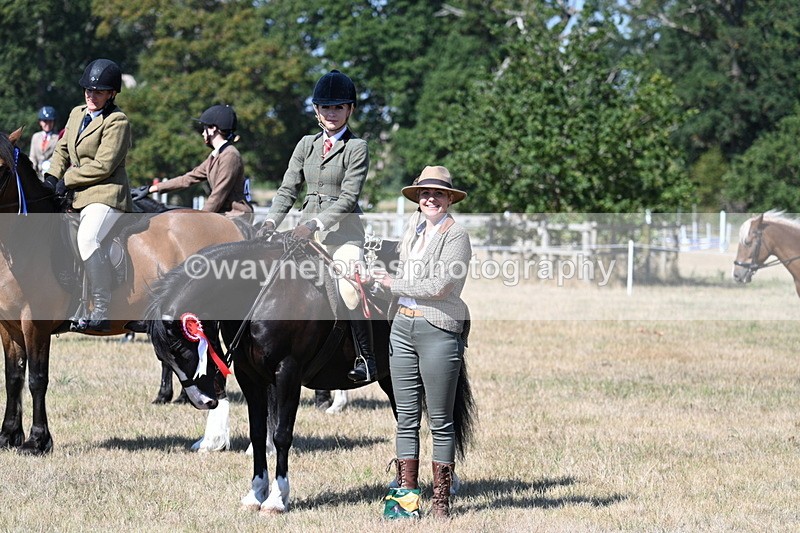 WJ7_4220 - Class 9 Mountain & Moorland Ridden