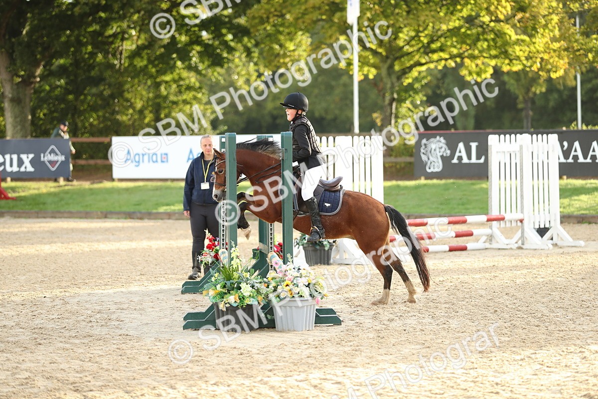 SBM_34160 - J60 Clear Round 50cm