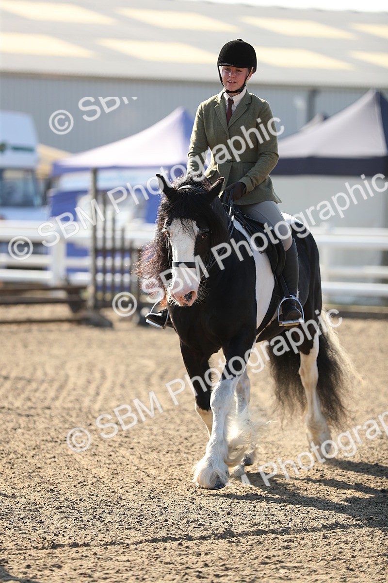 SBM_01176 - Class 42 Ridden Veteran