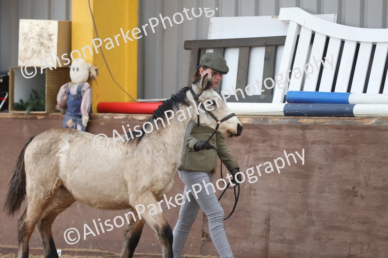 20251109-0766 - Class 24 - Foals