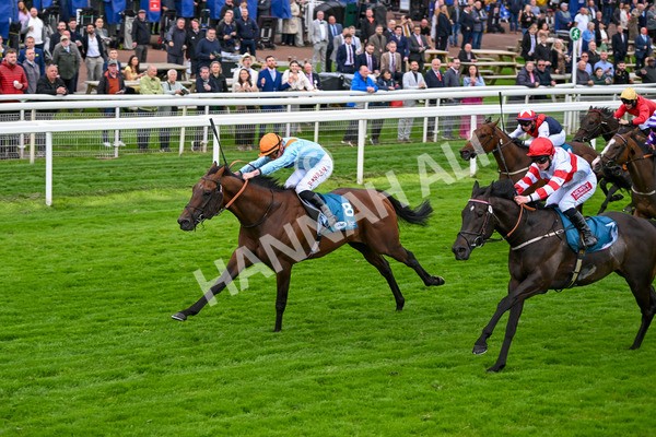 120724-Race 6-The Coffee Pod-6390 - Race 6 4.55pm Irish Thoroughbred Marketing Handicap