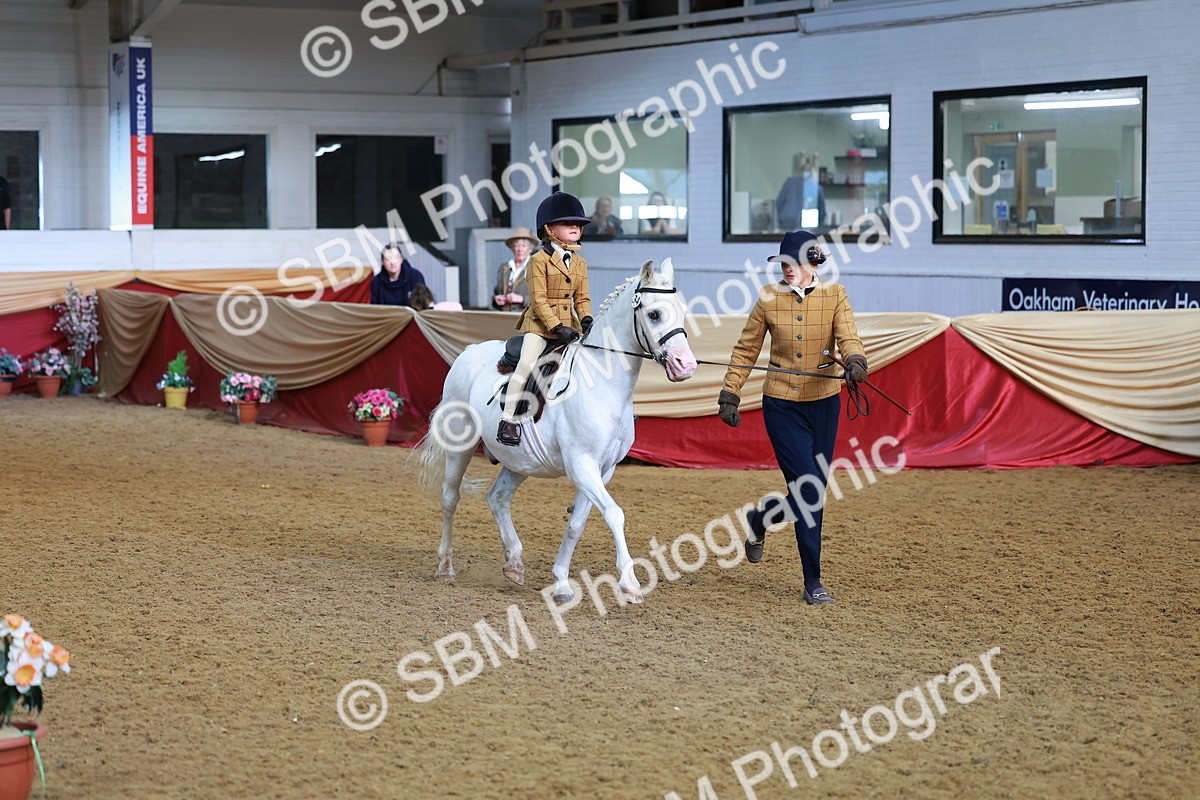 SBM_07726 - Class 101 - HOYS Veteran Qualifier - Ridden Diamond