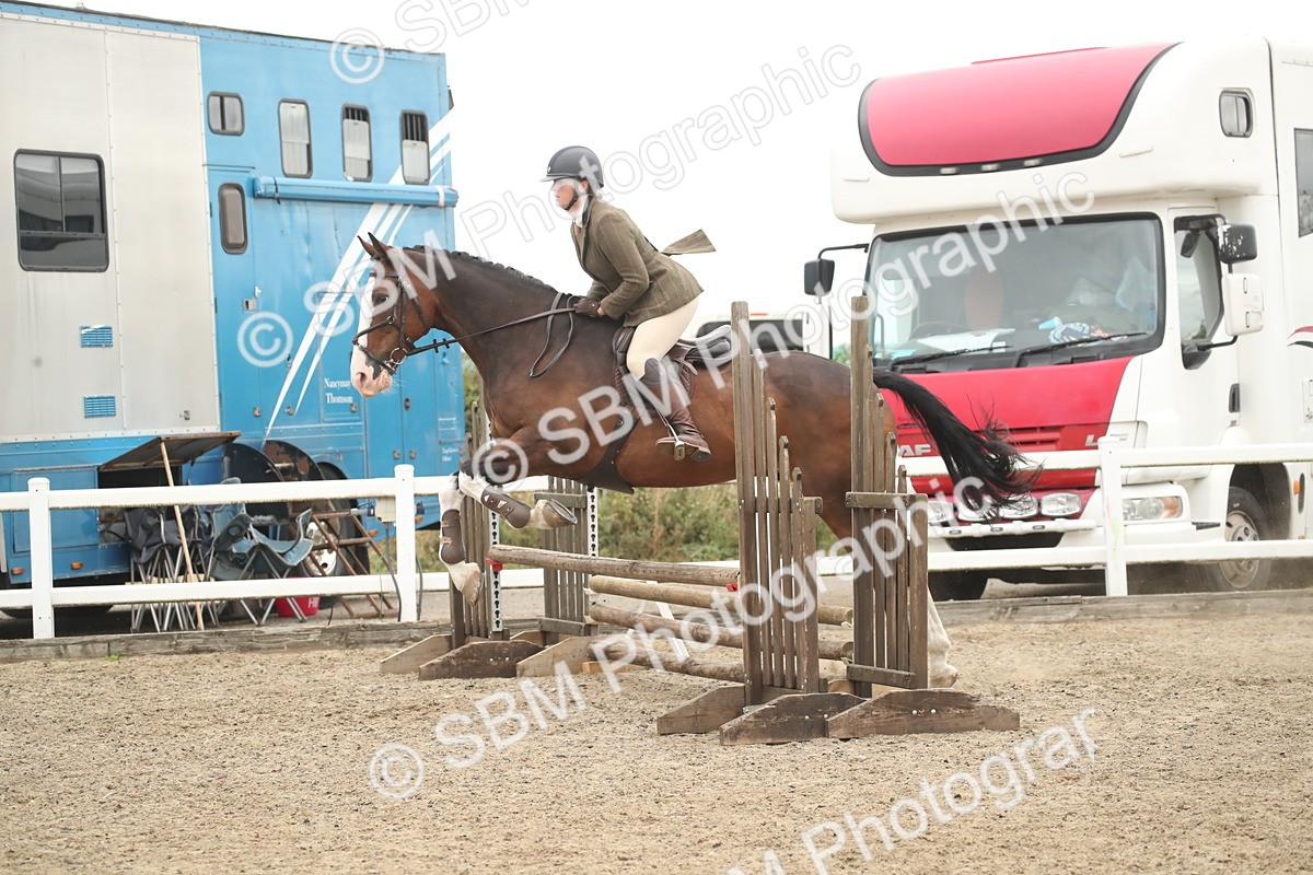 SBM_18382 - Class 509B - Working Veteran - 80cm (20+)