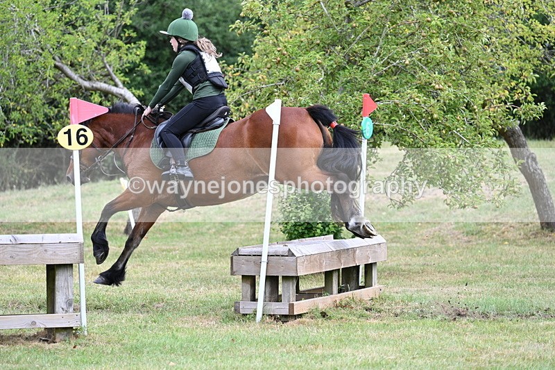 WJ7_5201 - 60cm XC Time 10:17 to 10:49