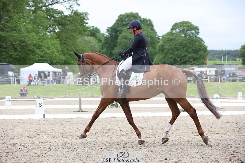 240523-161212-05938 - 322-CHILLI_KING-Gemma_Stevens