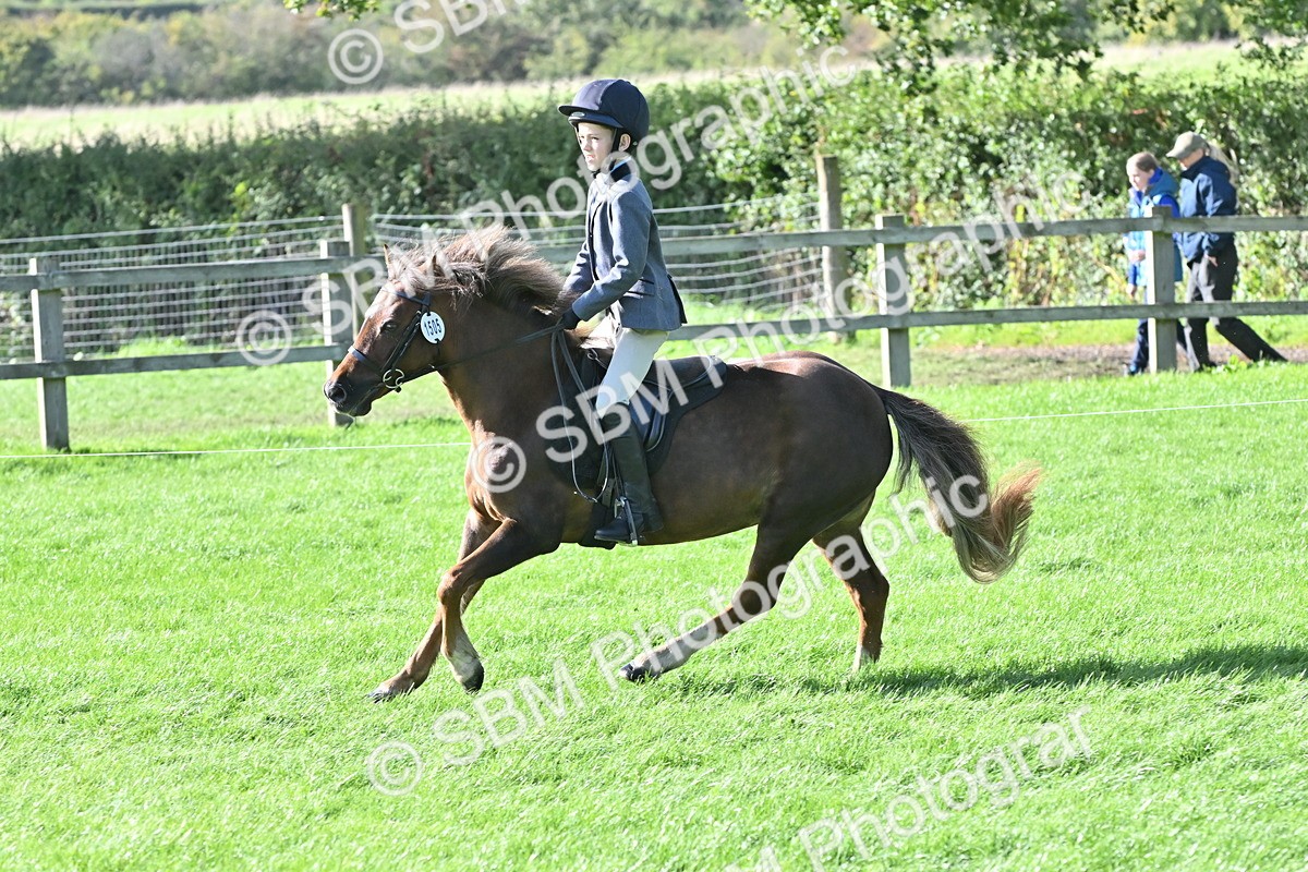 SBM_50271 - S21 - Novice & Newcomers First Ridden