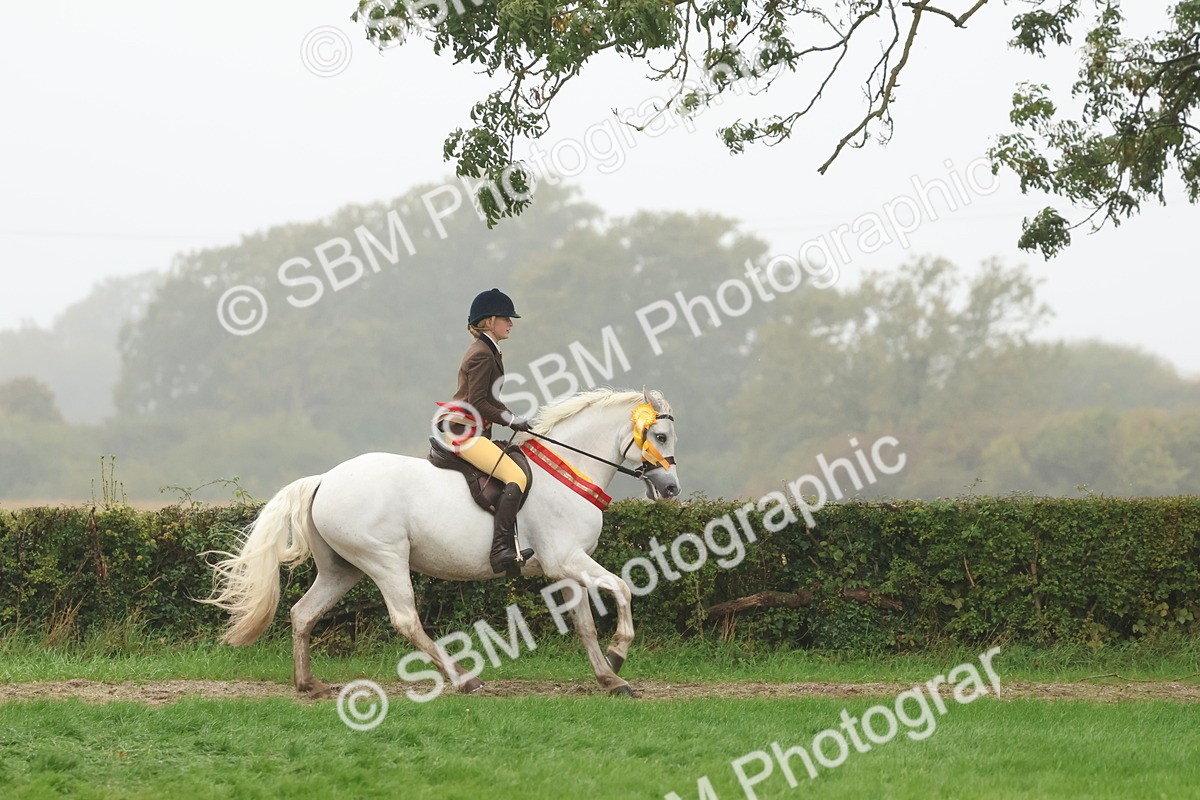 SBM_73217 - Super Supreme Championship(Sun)