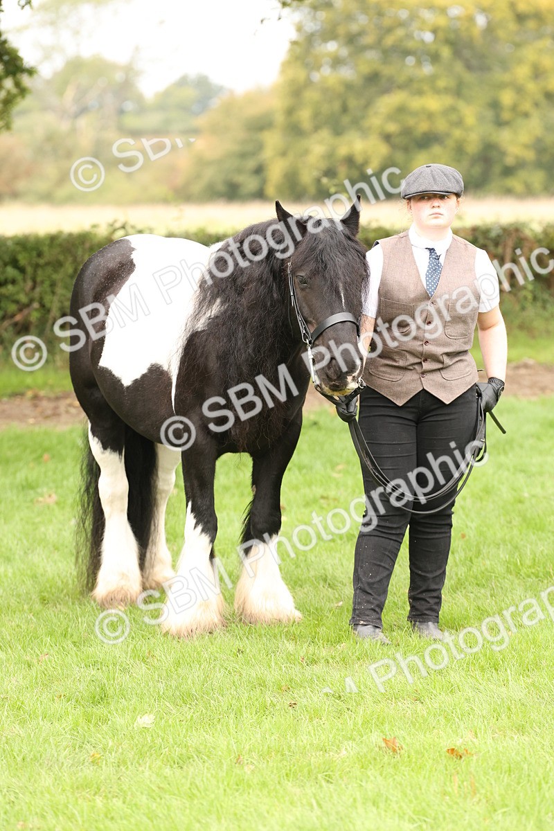 SBM_59351 - S57 - Traditional Cob In Hand