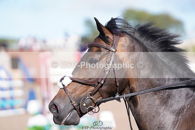 250627-175758-00304 - Cls 4 Pony 1m Open