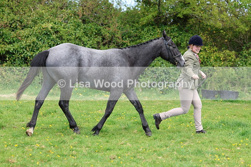 3E7A0494 - Class 20: Sports Horse