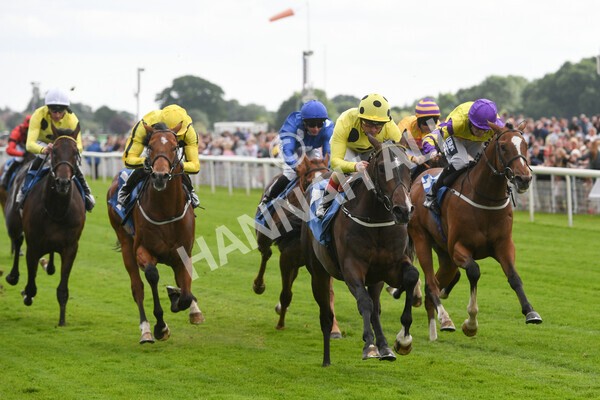 yr11062022r6-21 - Race 6 4.15pm Reg Griffin Appreciation EBFstallions.com Maiden Stakes