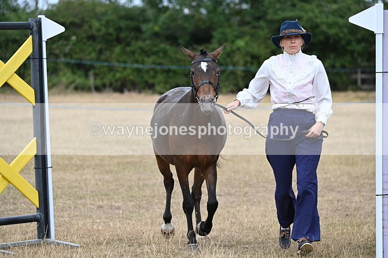 WJ6_8059 - Class 10 Coloured in Hand