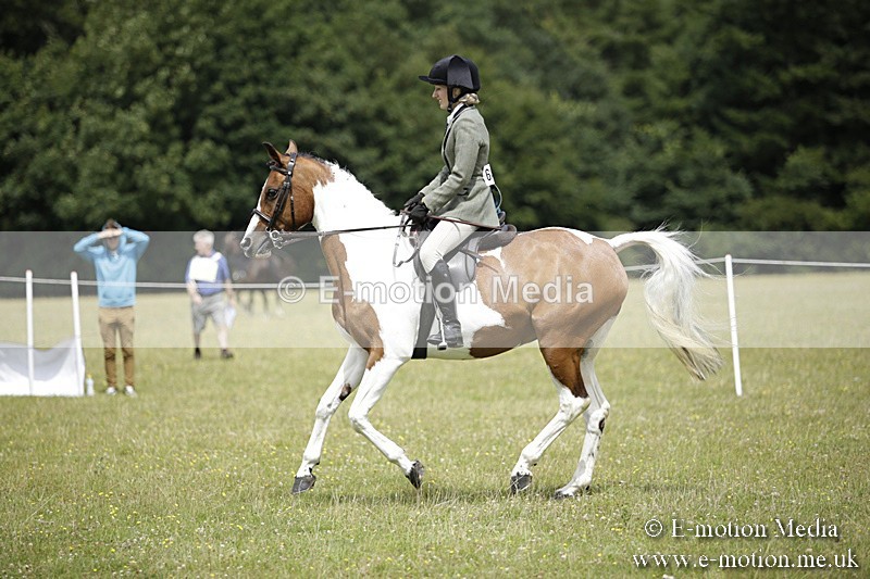 BVR160717-1913 - Ring 1 BVRC Show 16/07/17