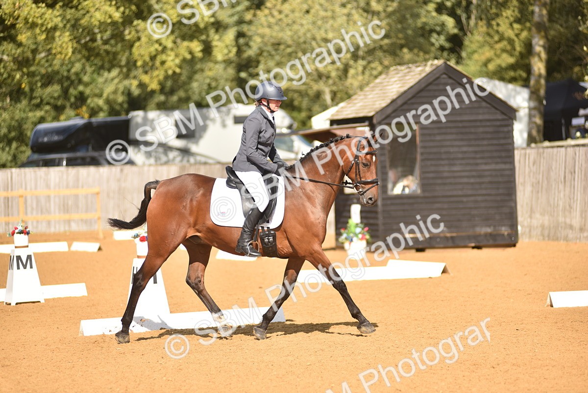 SBM_24202 - D4 - Small Tour Championship Intro 4