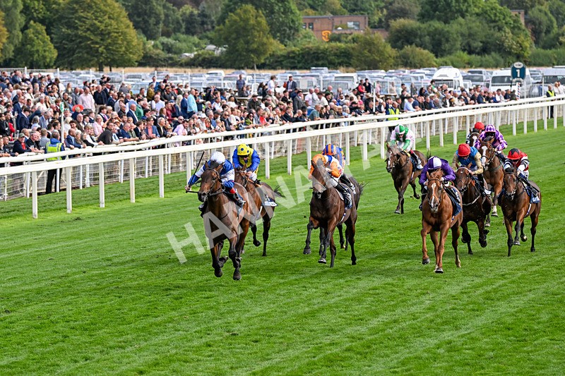 210826-Race 6-Benjamin Hornigold-0352 - Race 6 16.45pm British Stallion Studs EBF Convivial Maiden Stakes