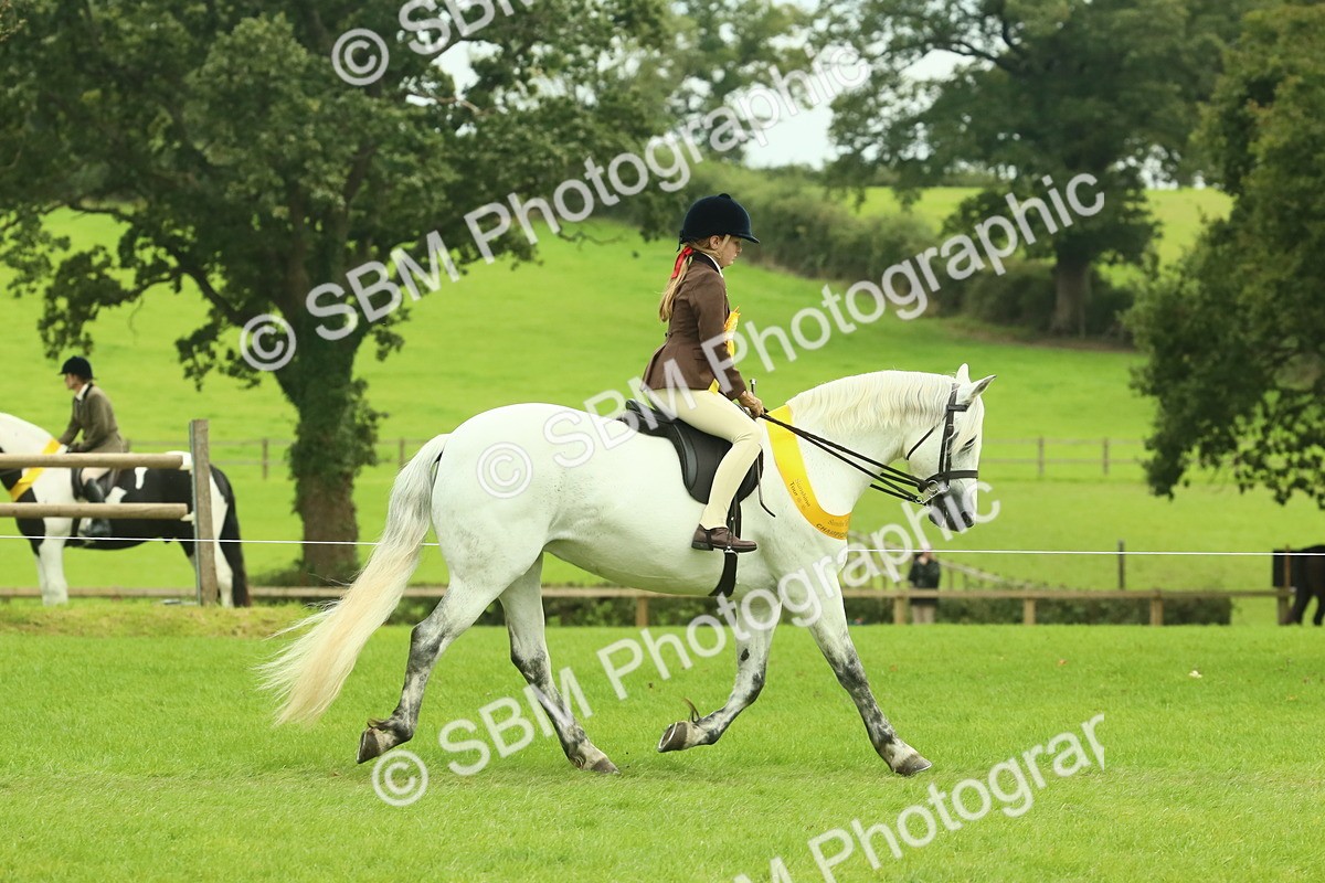 SBM_74977 - Ridden Pony Supreme Championship